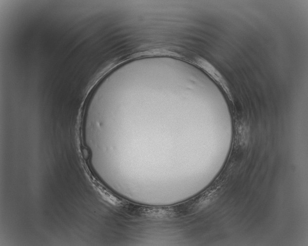 X0000073451002200608181234