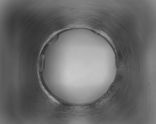 X0000073451005200608181234