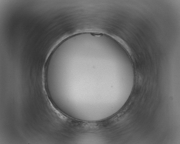 X0000073451006200608181234