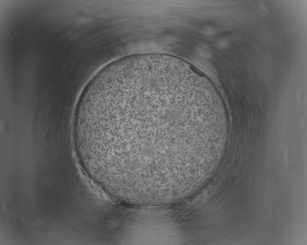 X0000073451008200608181234