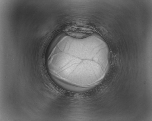 X0000073451009200608181233