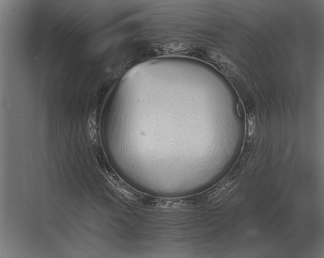 X0000073451011200608181233