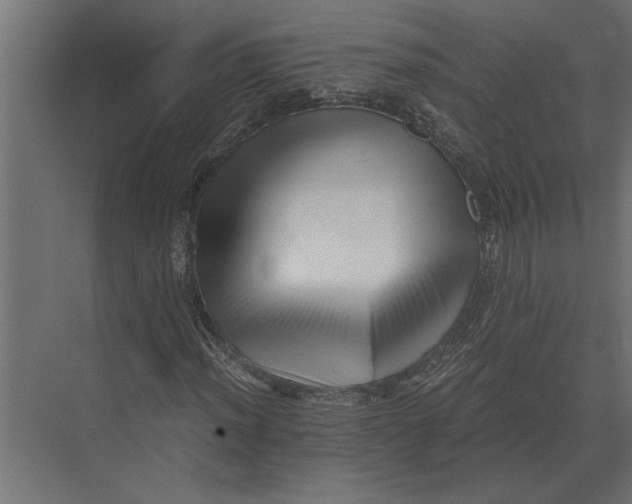 X0000073451012200608181233