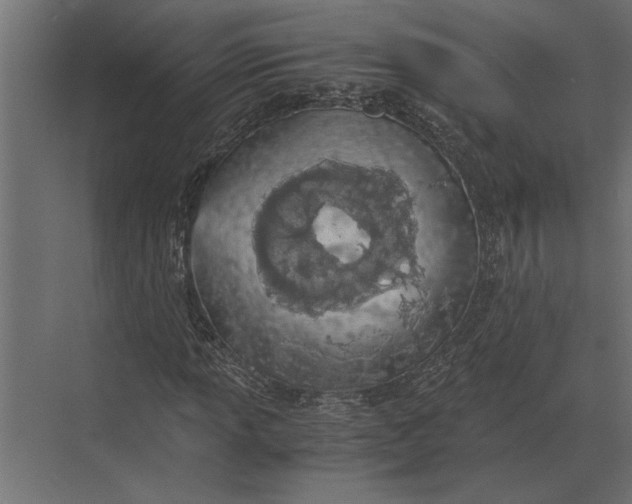 X0000073451013200608181233