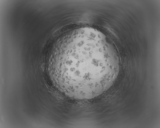 X0000073451015200608181233