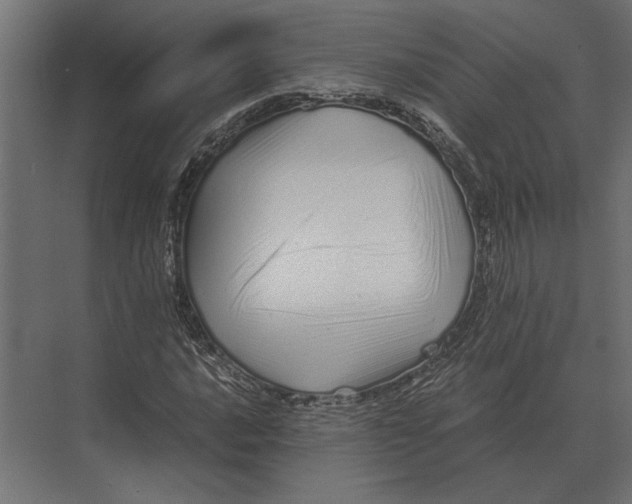 X0000073451016200608181233