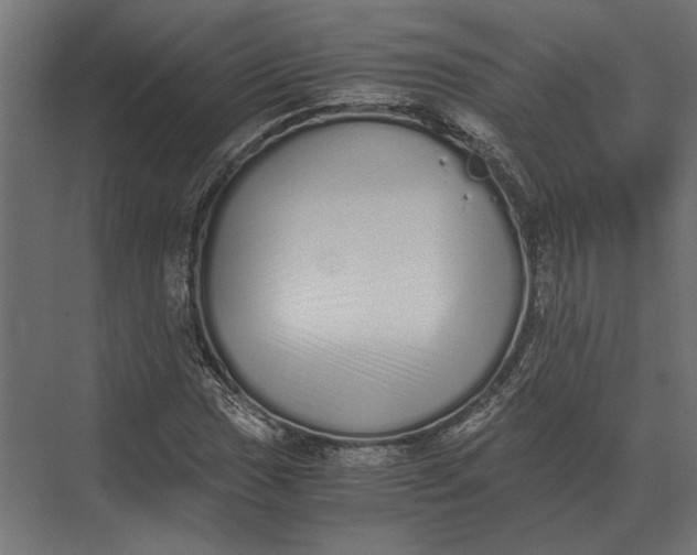 X0000073451017200608181233