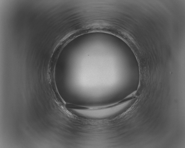 X0000073451018200608181233