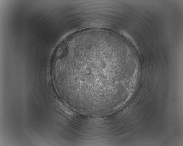 X0000073451019200608181233