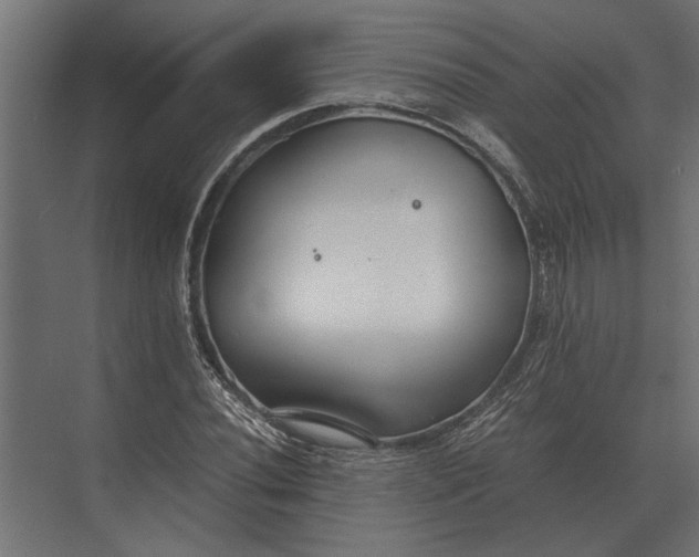 X0000073451020200608181233