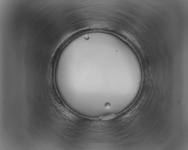 X0000073451021200608181233