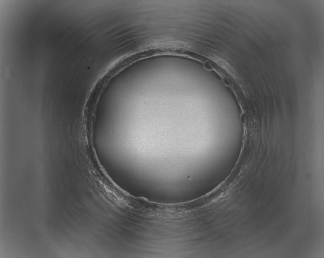 X0000073451022200608181233