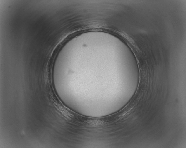 X0000073451023200608181233