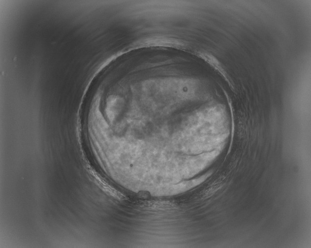 X0000073451024200608181233