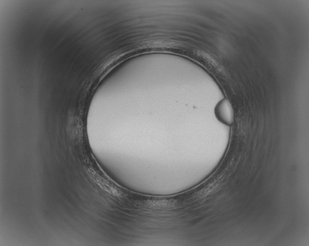 X0000073451025200608181233