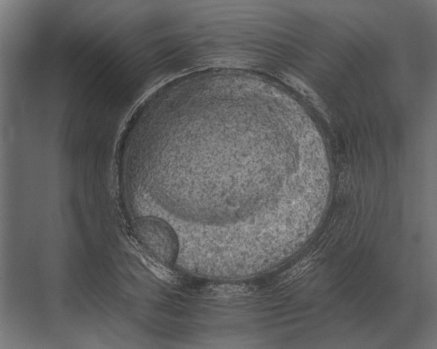 X0000073451027200608181233