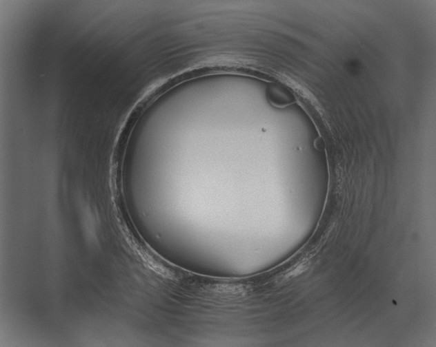 X0000073451029200608181233