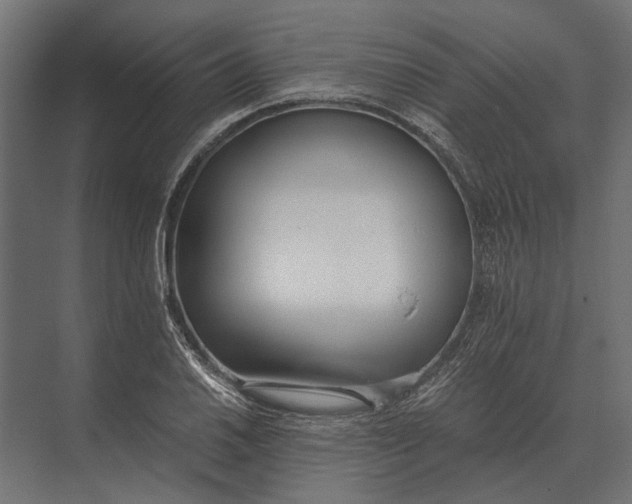 X0000073451030200608181233