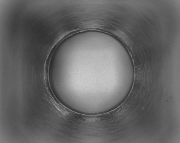 X0000073451031200608181233