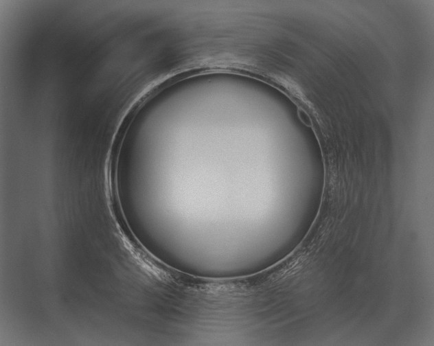 X0000073451032200608181233