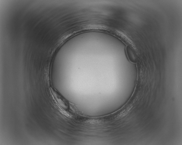 X0000073451033200608181233