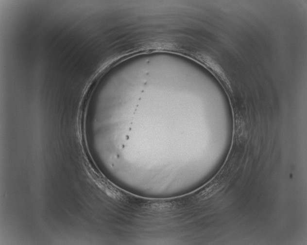 X0000073451035200608181233