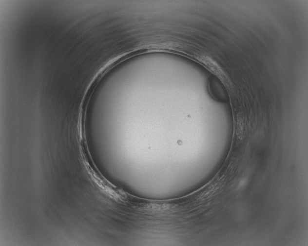 X0000073451036200608181233