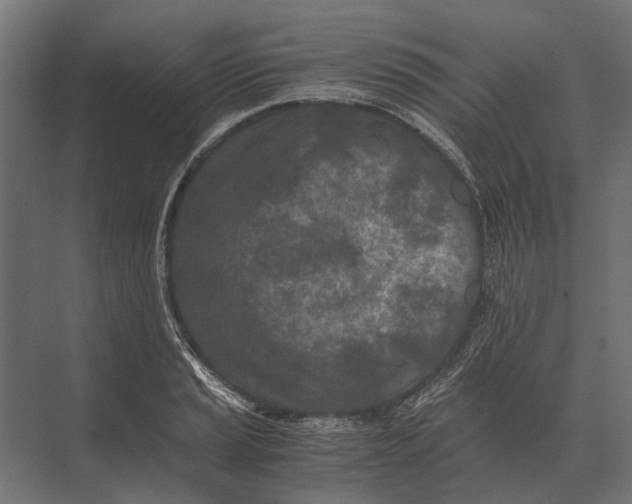 X0000073451037200608181233