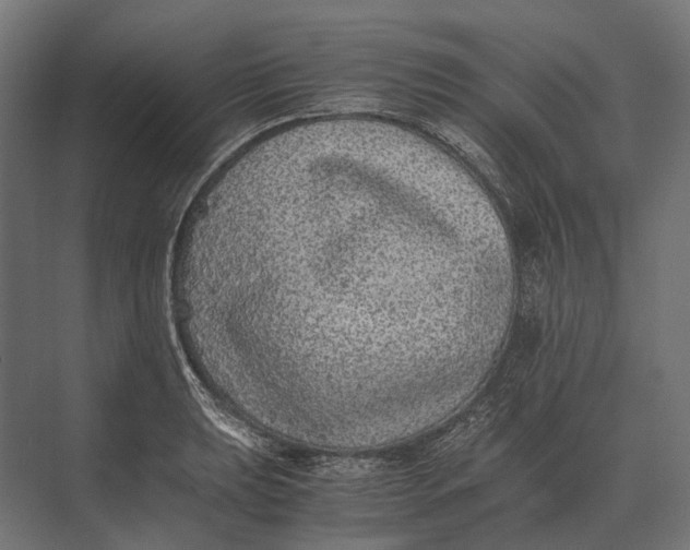 X0000073451039200608181233