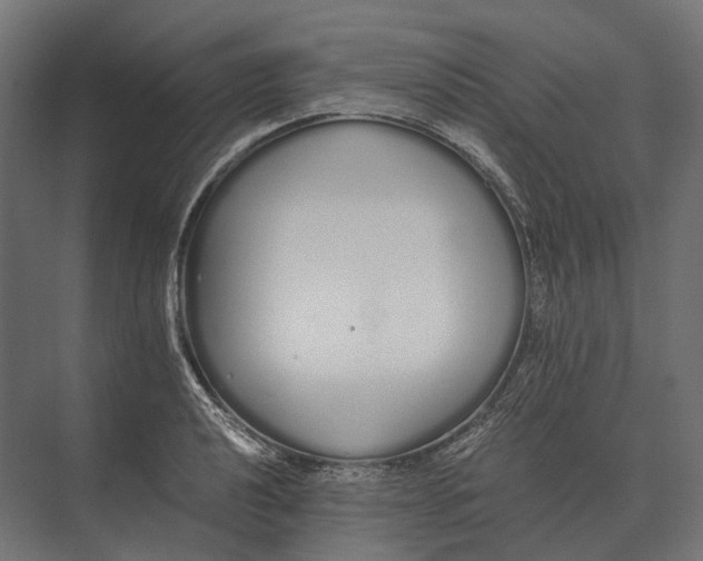 X0000073451040200608181233