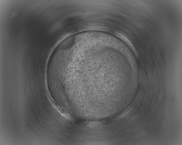 X0000073451043200608181233