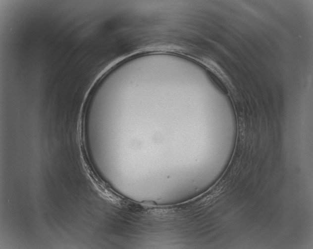 X0000073451044200608181233