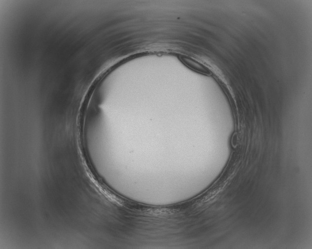 X0000073451045200608181233