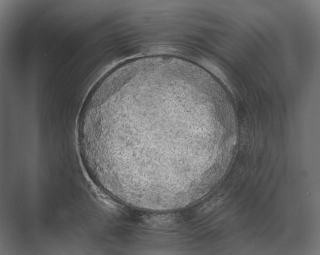 X0000073451047200608181233