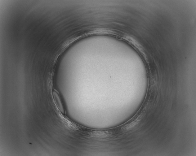 X0000073451049200608181233