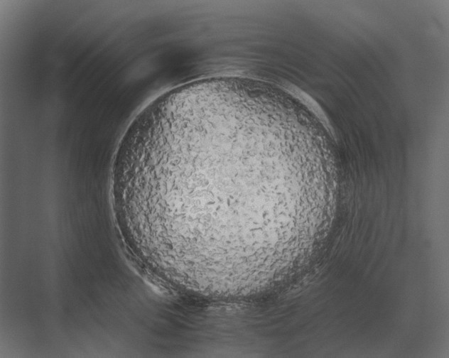 X0000073451051200608181234