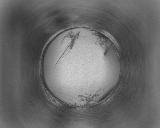 X0000073451052200608181234