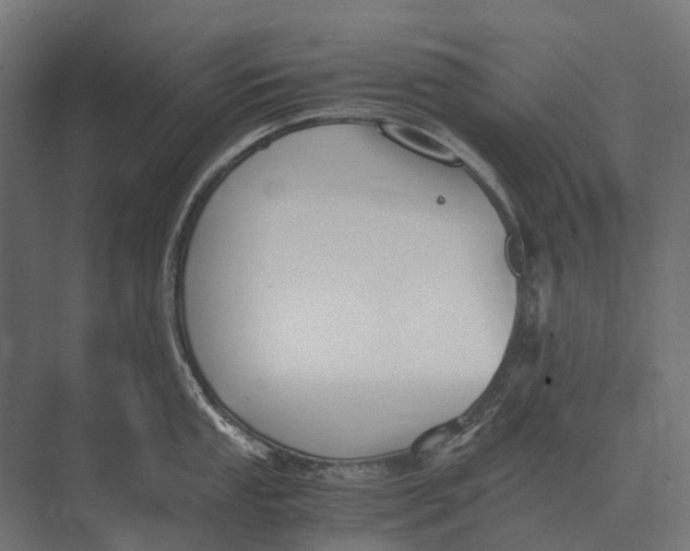 X0000073451053200608181234