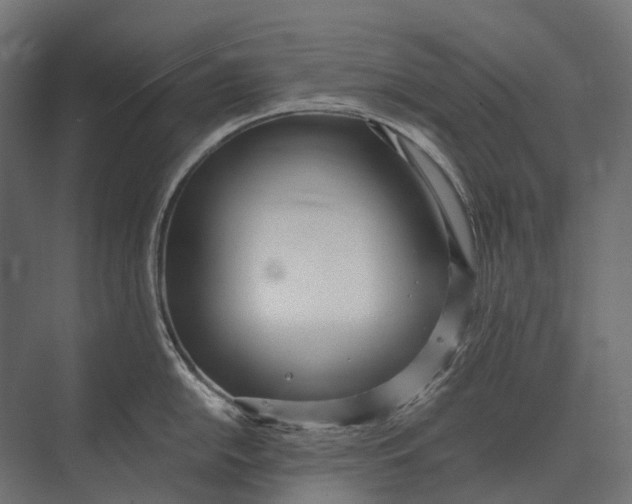 X0000073451054200608181234