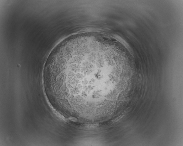 X0000073451055200608181234