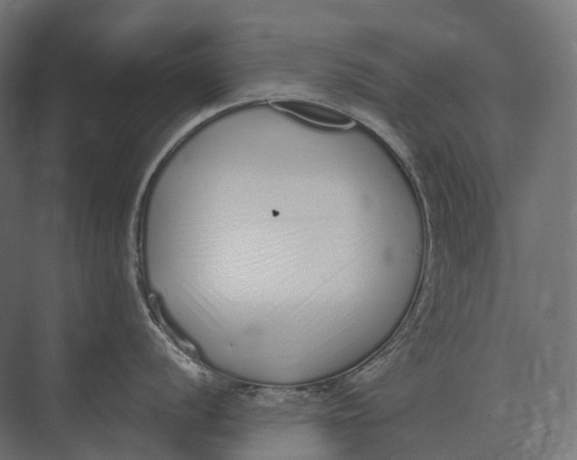 X0000073451056200608181234