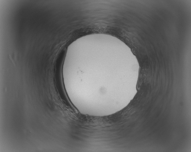 X0000073451057200608181233