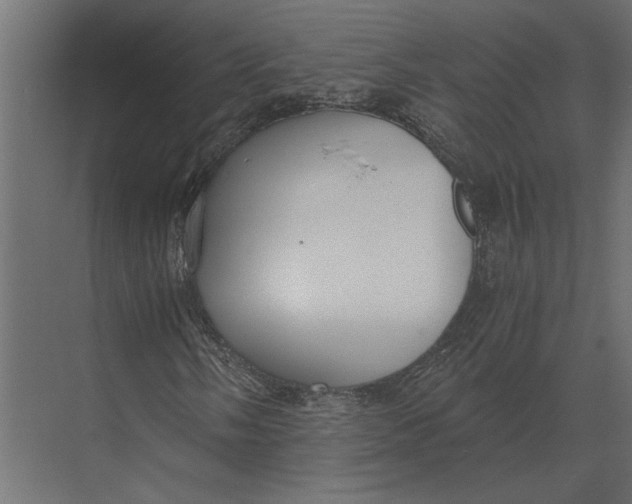 X0000073451058200608181233