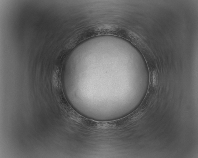 X0000073451059200608181233