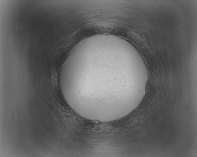 X0000073451061200608181233