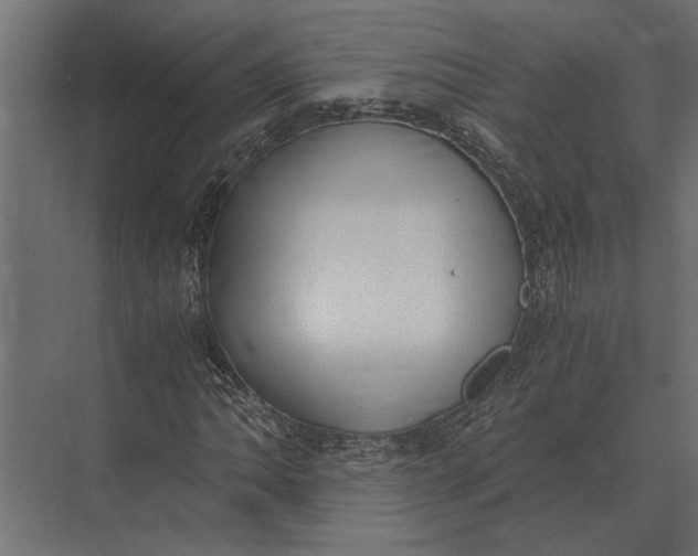 X0000073451062200608181233