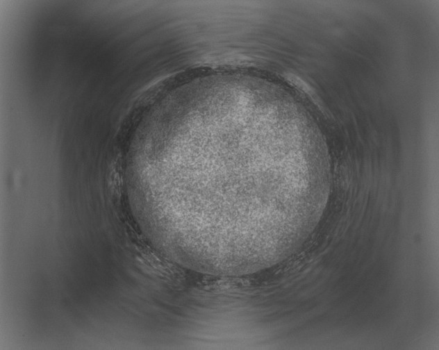 X0000073451063200608181233