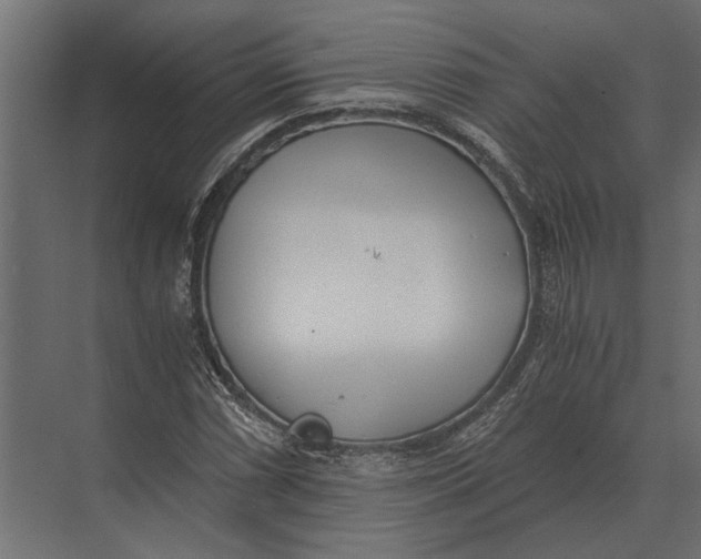 X0000073451066200608181233