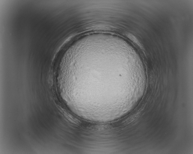 X0000073451067200608181233