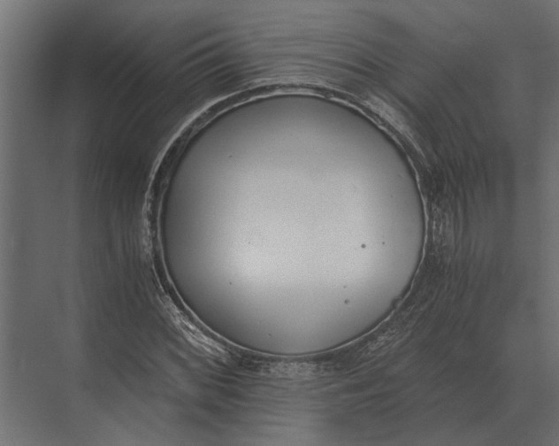 X0000073451068200608181233